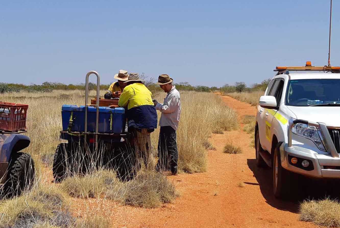 Mineral Exploration Specialists Perth